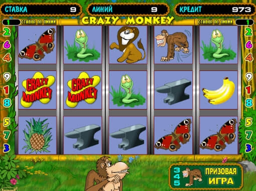 Crazy Monkey